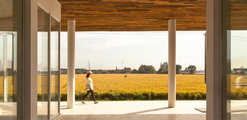江蘇•震澤謝家路特色田園鄉村
