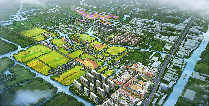 平湖•當湖街道虹霓鎮