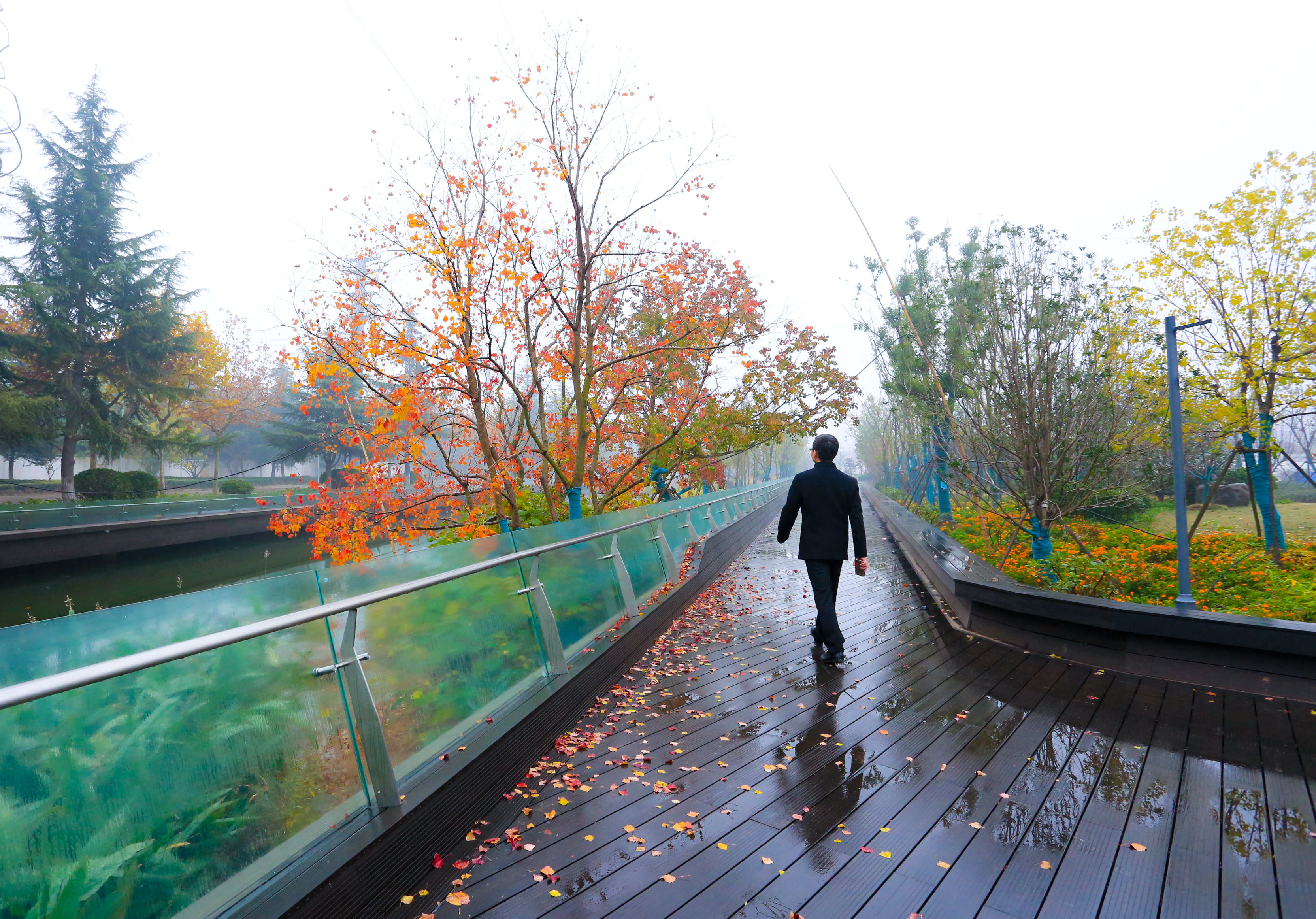 宿遷•馬陵河海綿公園