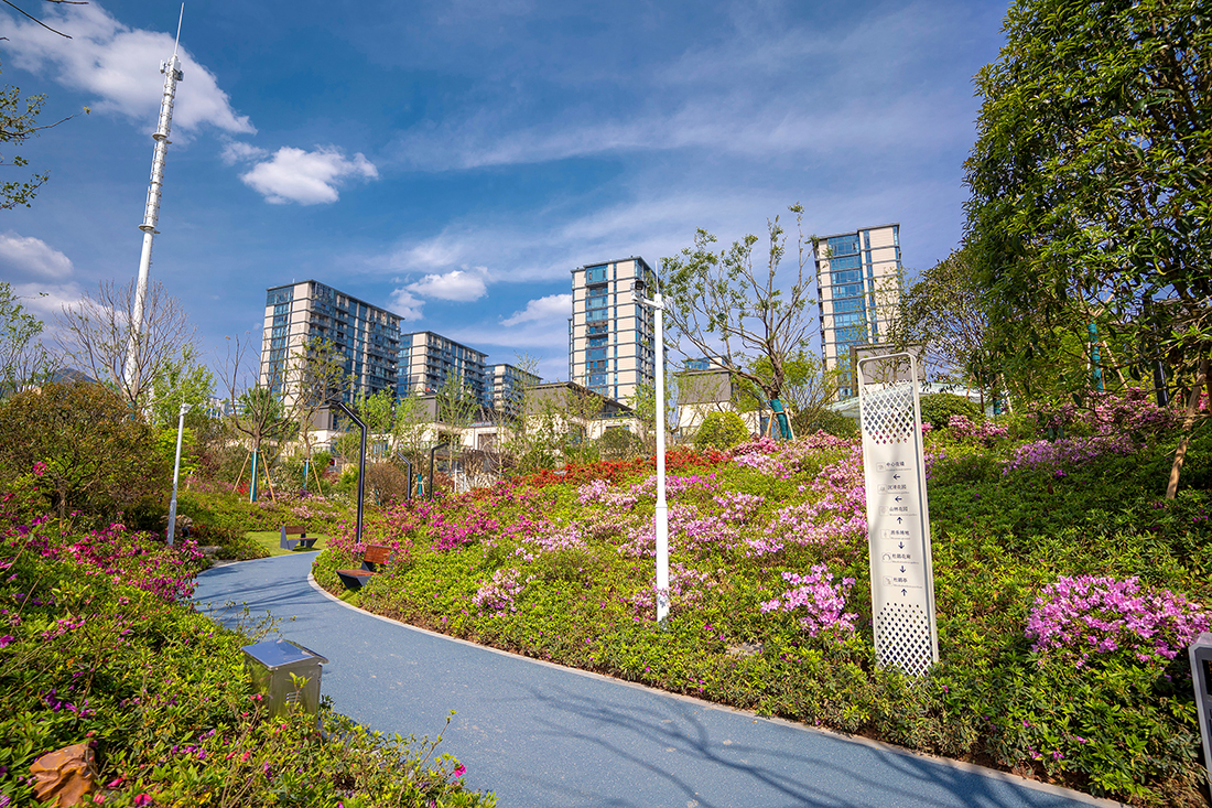 麗水·中山公園